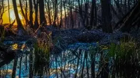 Zachód Słońca Piękna Góra, jez. Kisajno - zdjęcie 6