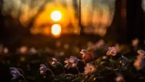 Zachód Słońca Piękna Góra, jez. Kisajno - zdjęcie 11