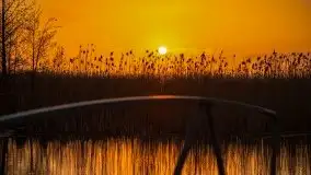 Wschód Słońca, Wilkasy, jezioro Niegocin - zdjęcie 59