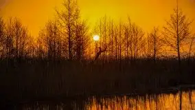 Wschód Słońca, Wilkasy, jezioro Niegocin - zdjęcie 65