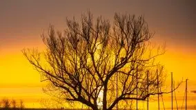 Wschód Słońca, Wilkasy, jezioro Niegocin - zdjęcie 70