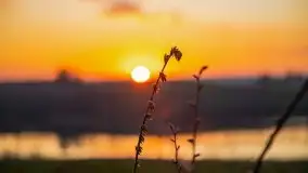 Wschód słońca, jezioro Buwełno - zdjęcie 32