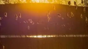 Wschód słońca, jezioro Buwełno - zdjęcie 55