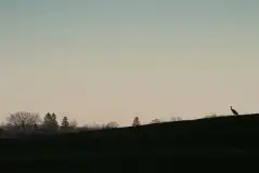 Zdjęcia: Mazurska wiosna na zdjęciach Janka Olchówki - zdjęcie 14