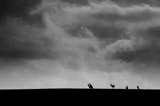 Zdjęcia: Mazurska wiosna na zdjęciach Janka Olchówki - zdjęcie 7