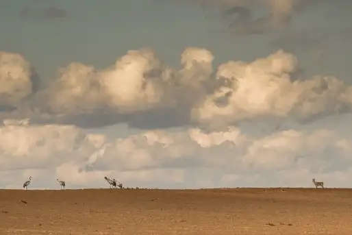 Zdjęcia: Mazurska wiosna na zdjęciach Janka Olchówki - zdjęcie 11