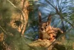 Zdjęcia: Mazurska wiosna na zdjęciach Janka Olchówki - zdjęcie 15