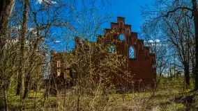 Zdjęcia: Pałac w Prośnie – monumentalna, romantyczna i tajemnicza ruina - zdjęcie 54