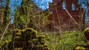 Zdjęcia: Pałac w Prośnie – monumentalna, romantyczna i tajemnicza ruina - zdjęcie 52