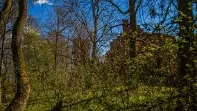 Zdjęcia: Pałac w Prośnie – monumentalna, romantyczna i tajemnicza ruina - zdjęcie 51