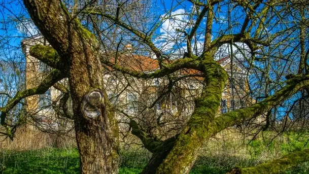 Zdjęcia: Pałac w Skandławkach – do kupienia romantyczna pozostałość dawnych Mazur - zdjęcie 7