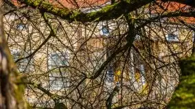 Zdjęcia: Pałac w Skandławkach – do kupienia romantyczna pozostałość dawnych Mazur - zdjęcie 14