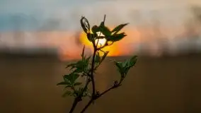 Zachód słońca nad jeziorem Tajty, 29 kwietnia 2020r. - zdjęcie 16