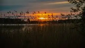 Zachód słońca nad jeziorem Tajty, 29 kwietnia 2020r. - zdjęcie 26