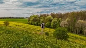 Mazurskie pola rzepaku na początku maja 2020 r. - zdjęcie 7