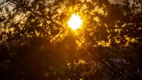 Zachód słońca nad jeziorem Ublik Wielki, maj 2020 r. - zdjęcie 18