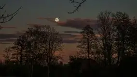 Zachód słońca nad jeziorem Ublik Wielki, maj 2020 r. - zdjęcie 51