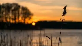 Zachód słońca nad jeziorem Ryńskim, Rybical - zdjęcie 5
