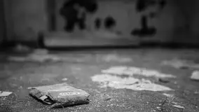 Cień historii sprzed kilkudziesięciu lat w jednym z pałacyków - zdjęcie 26