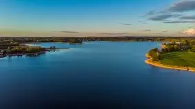 Złoto w kolorach słońca i rzepaku, maj 2020.r - zdjęcie 30