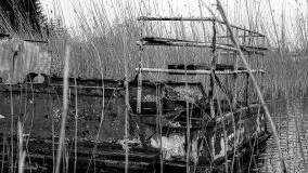 Niemy świadek mazurskich jezior spoczywa koło Rynu - zdjęcie 8