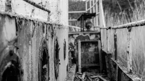 Niemy świadek mazurskich jezior spoczywa koło Rynu - zdjęcie 44