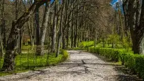 Jeden z piękniejszych pałaców na Mazurach - Łężany - zdjęcie 11