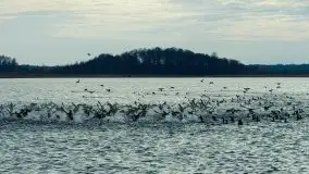 Zdjęcia: Poradnik motorowodny, skuterem i jachtem motorowym przez Mazury - jezioro Mamry - zdjęcie 9