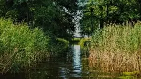 Zdjęcia: Poradnik - motorowodne Mazury - jeziora Święcajty, Stręgiel - zdjęcie 13
