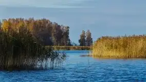 Zdjęcia: Poradnik - motorowodne Mazury - jezioro Niegocin - zdjęcie 28