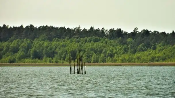 Zdjęcia: Poradnik - motorowodne Mazury - jezioro Śniardwy - zdjęcie 5