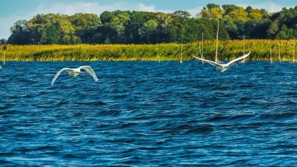 Zdjęcia: Poradnik - motorowodne Mazury - jezioro Śniardwy - zdjęcie 2