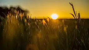 Zachód słońca widoczny z Grodzisko Święta Góra - zdjęcie 1