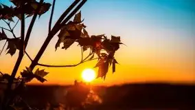 Zachód słońca widoczny z Grodzisko Święta Góra - zdjęcie 45