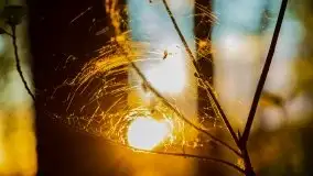 Kolejny raz magia zachodu słońca, okolice jez. Jagodne - zdjęcie 33