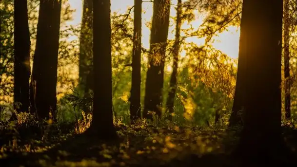 Kolejny raz magia zachodu słońca, okolice jez. Jagodne - zdjęcie 10