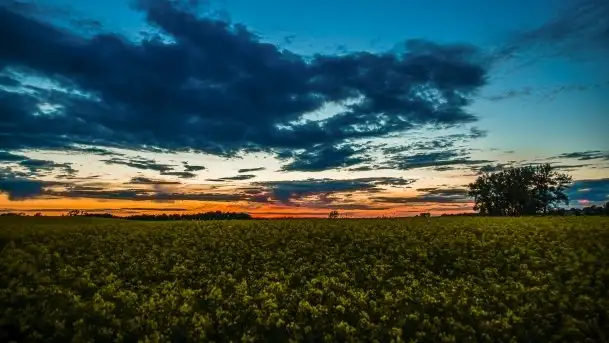 Kolejny raz magia zachodu słońca, okolice jez. Jagodne - zdjęcie 7