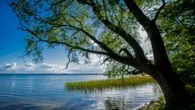 Miłośnicy Mazur - majowe Mazury na zdjęciach Staszka Sielewicza - zdjęcie 11