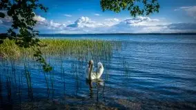 Miłośnicy Mazur - majowe Mazury na zdjęciach Staszka Sielewicza - zdjęcie 13