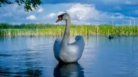 Miłośnicy Mazur - majowe Mazury na zdjęciach Staszka Sielewicza - zdjęcie 1