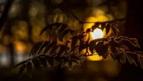 Majowy zachód słońca nad jeziorem Dargin - zdjęcie 5