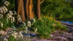 Majowy zachód słońca nad jeziorem Dargin - zdjęcie 2