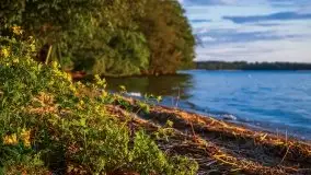 Majowy zachód słońca nad jeziorem Dargin - zdjęcie 10