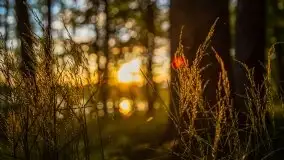 Zachód słońca w okolicy Kut i jeziora Czarna Kuta - zdjęcie 10