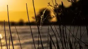 Wieczór nad Niegocinem i Grajewkiem - zdjęcie 29