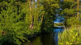 Wieczór nad Niegocinem i Grajewkiem - zdjęcie 13