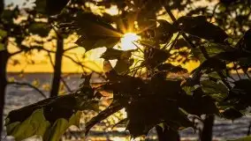 Wieczór nad Niegocinem i Grajewkiem - zdjęcie 4