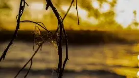 Wieczór nad Niegocinem i Grajewkiem - zdjęcie 23