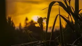 Zachód słońca w okolicach miejscowości Miłki - zdjęcie 7