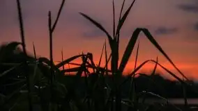 Zachód słońca w okolicach miejscowości Miłki - zdjęcie 25